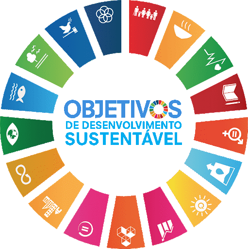 Logo ODS ONU