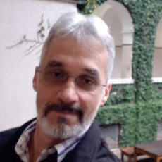 Prof. Dr. Ivo Ribeiro de Sá